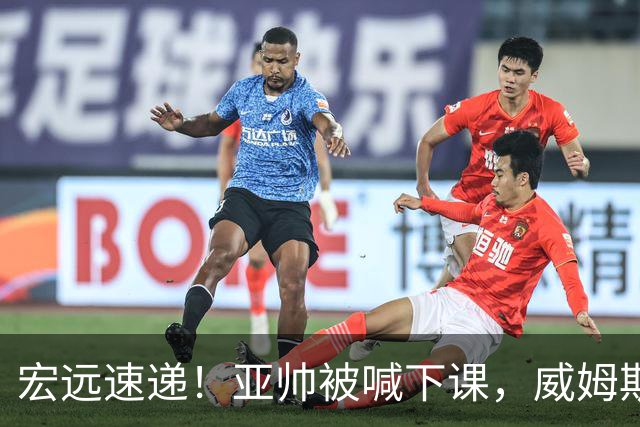 宏远速递!亚帅被喊下课,威姆斯在线投简历,杜锋真被冤枉了